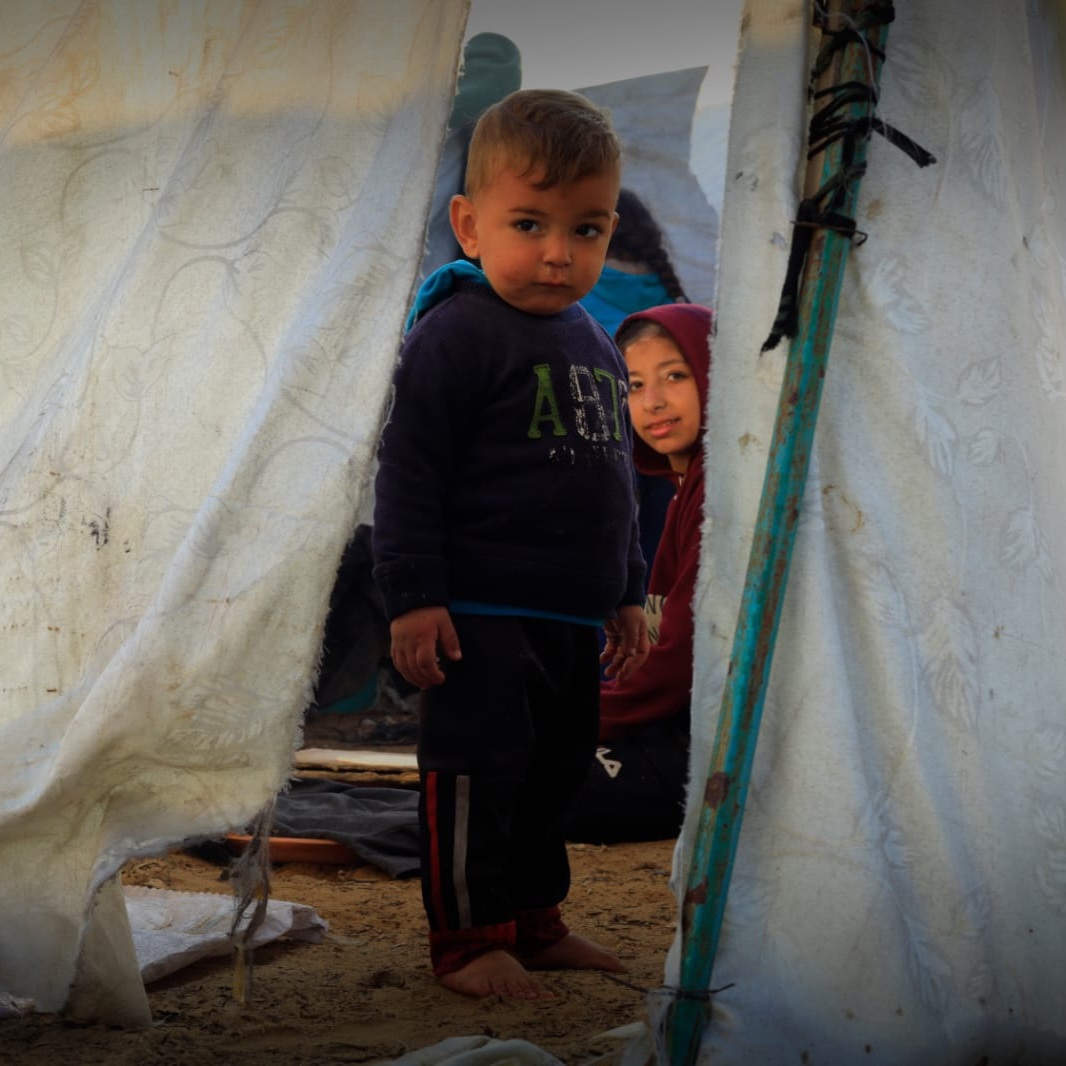 Gaza Emergency Relief
